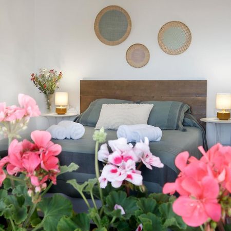 Apartamento Turistico Ana Arroniz Extérieur photo